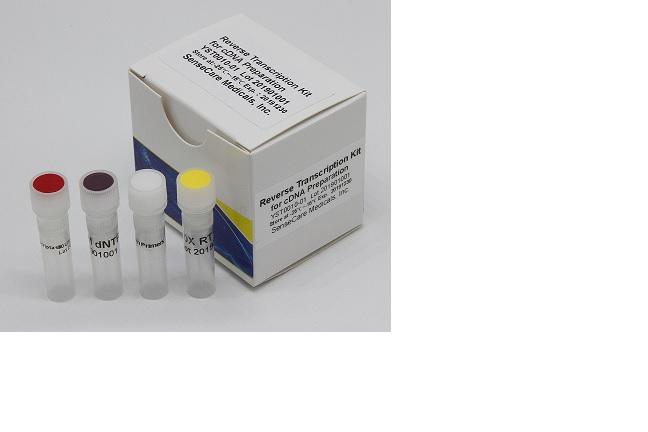 Reverse Transcription Kit for cDNA Preparation – Sensecarebio